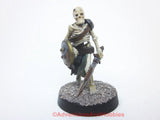 Fantasy Miniature Undead Skeleton Warrior 28mm 485 D&D Painted Plastic